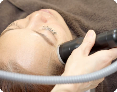 プラセンタの写真1